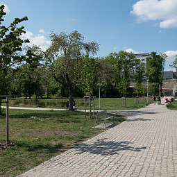park